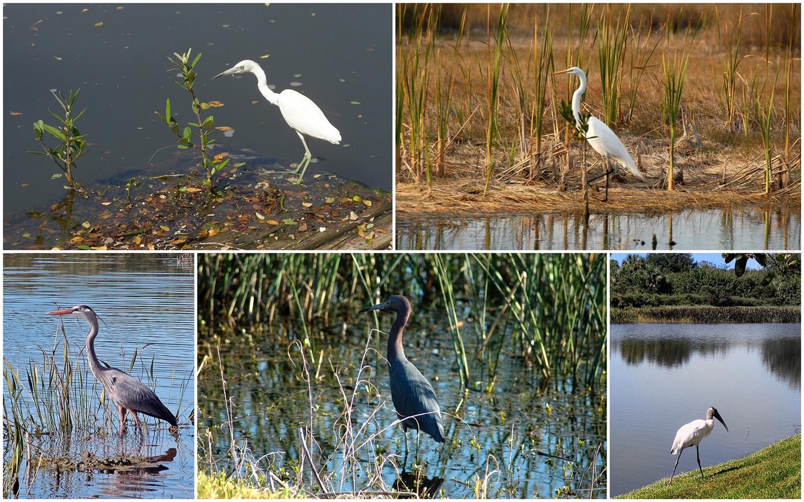 TURTLE ROCK - Residential