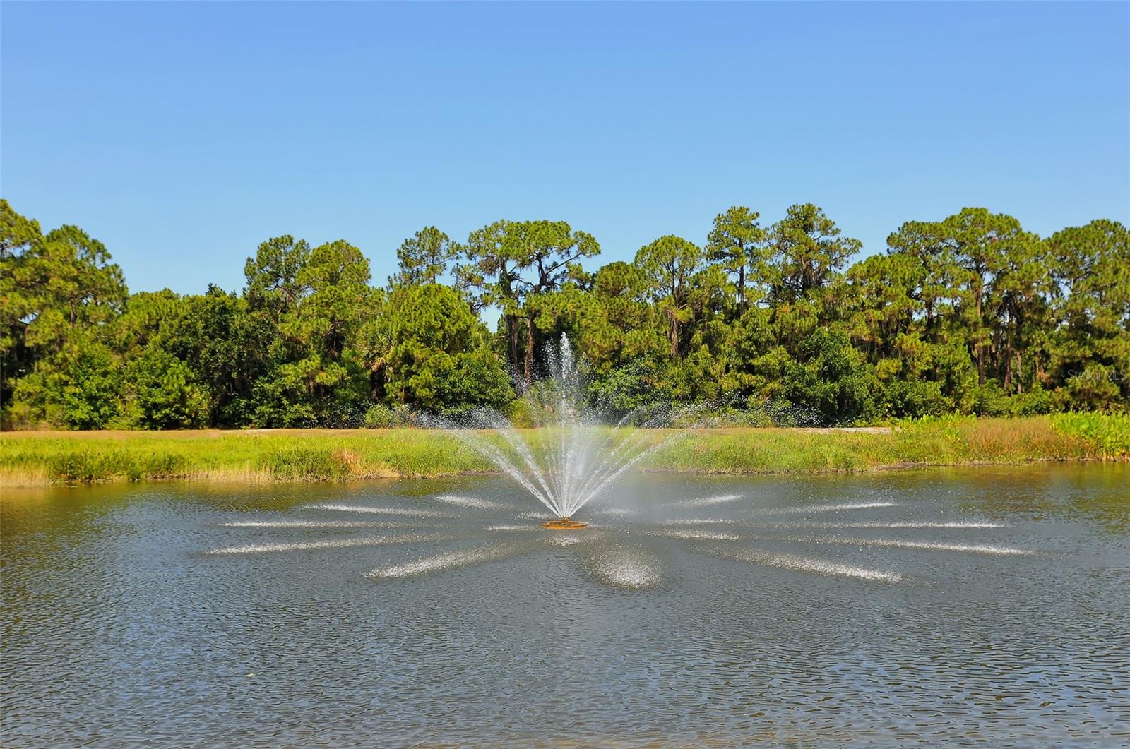 TURTLE ROCK - Residential