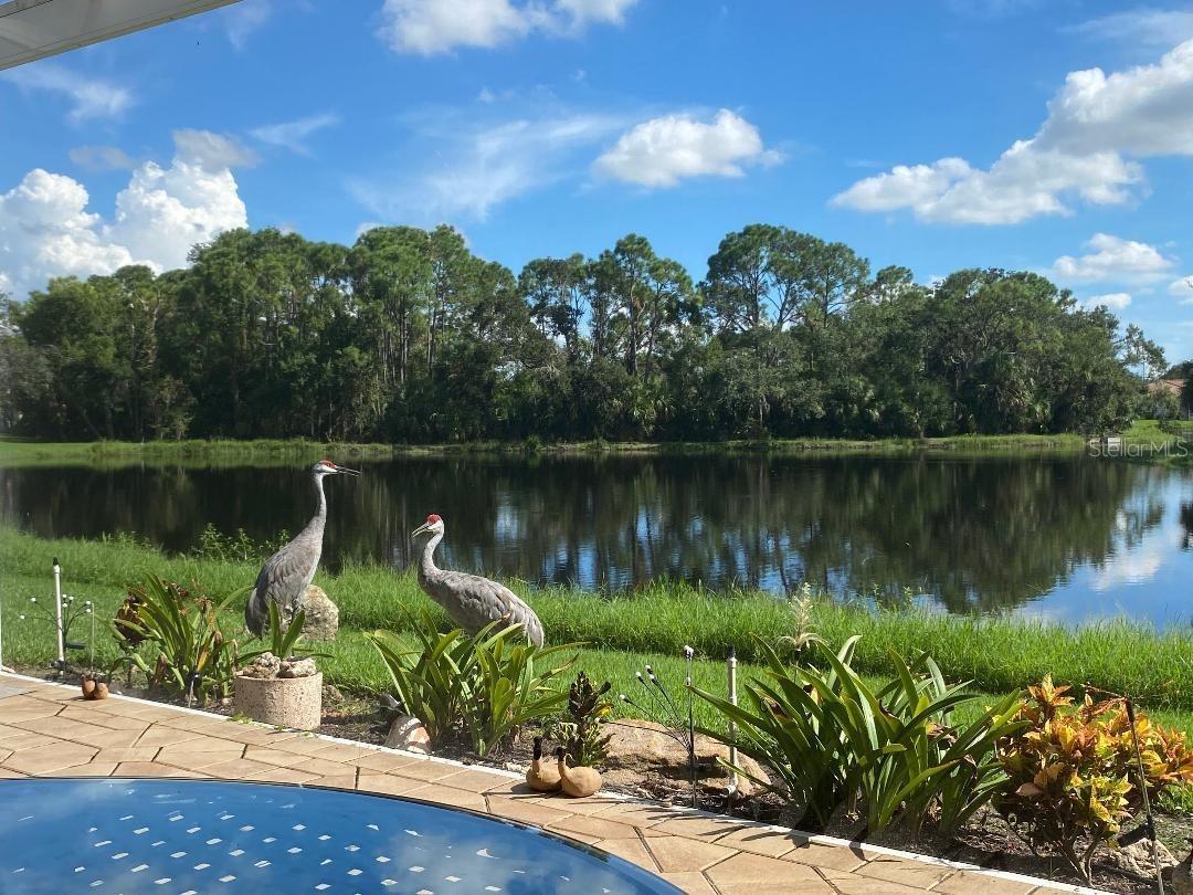 TURTLE ROCK - Residential