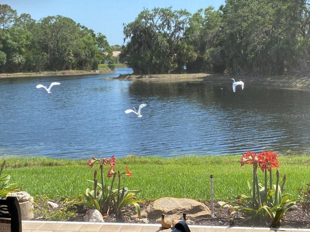 TURTLE ROCK - Residential