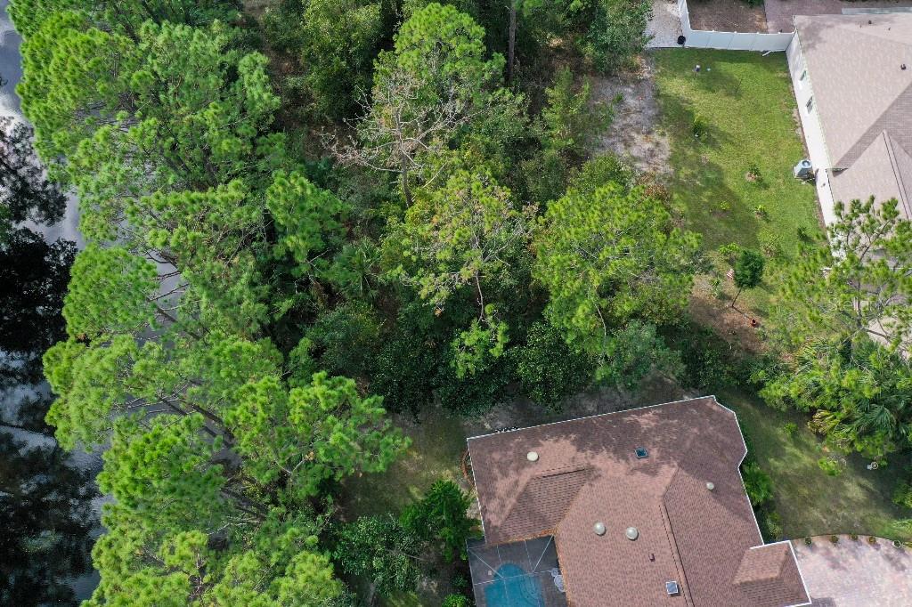 PALM COAST SEC 19 - Land