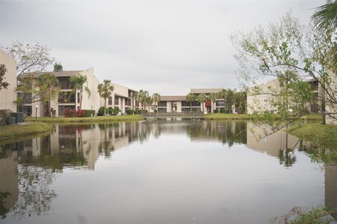 A home in TAMPA