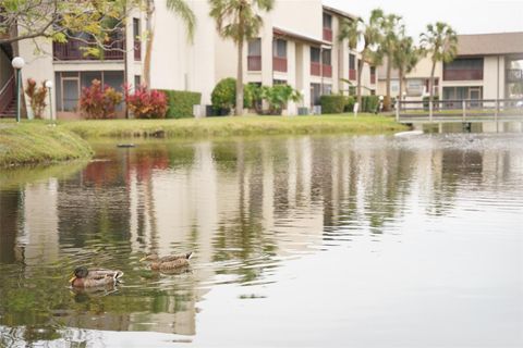 A home in TAMPA