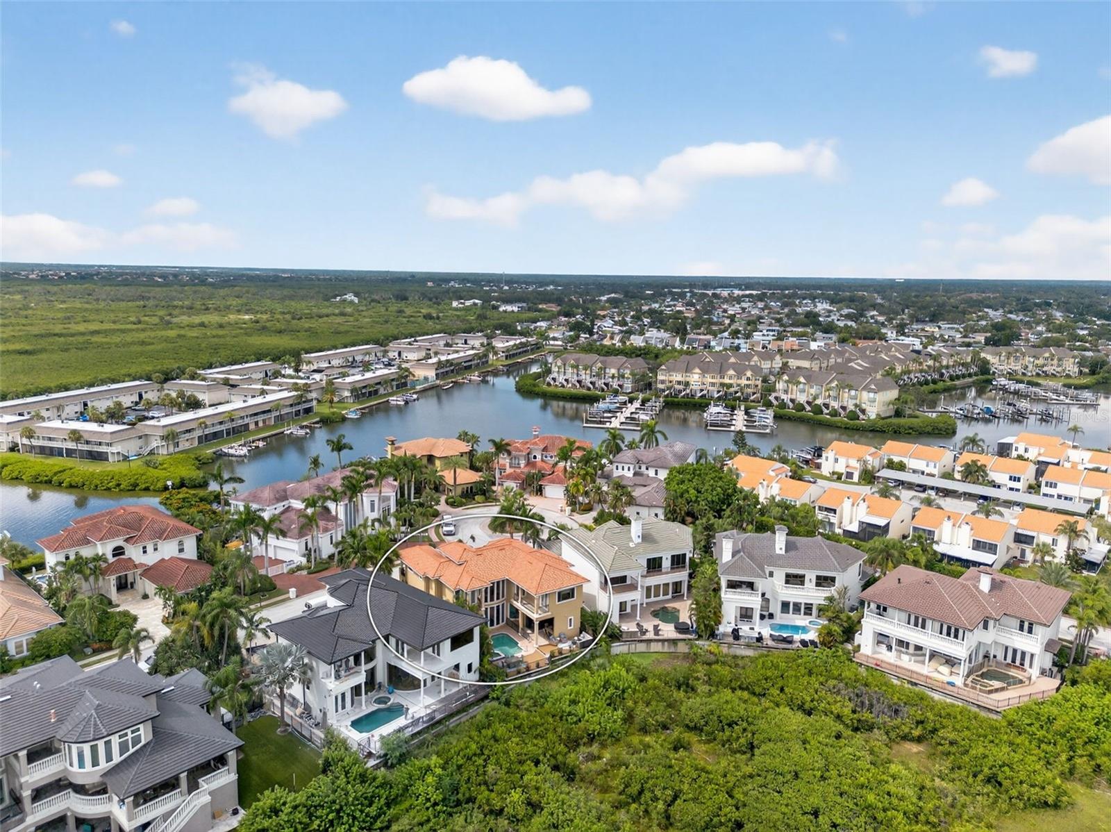 THE RESERVE OF OLD TAMPA BAY - Residential