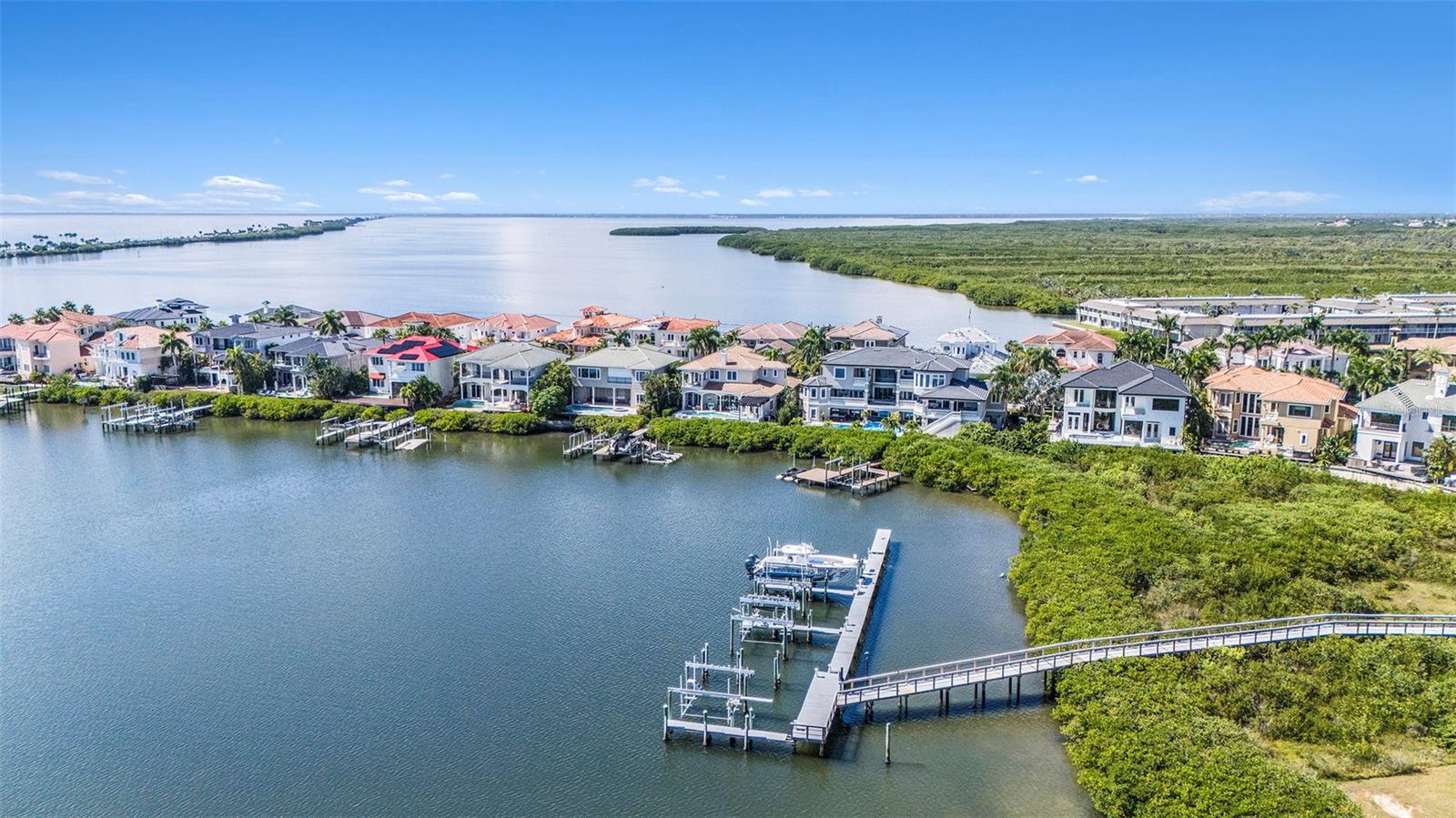 THE RESERVE OF OLD TAMPA BAY - Residential