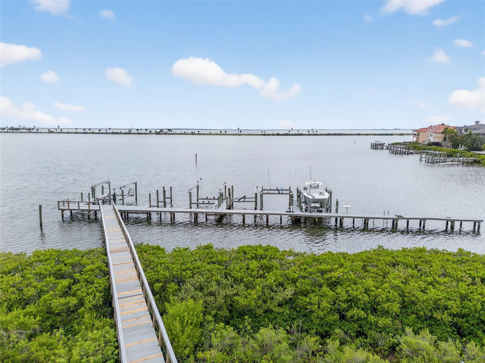 THE RESERVE OF OLD TAMPA BAY - Residential