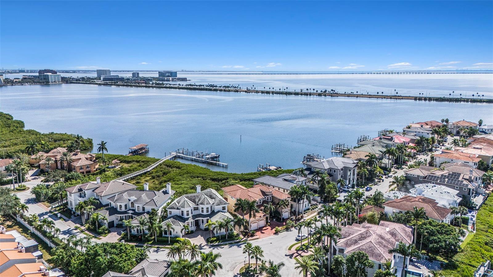 THE RESERVE OF OLD TAMPA BAY - Residential