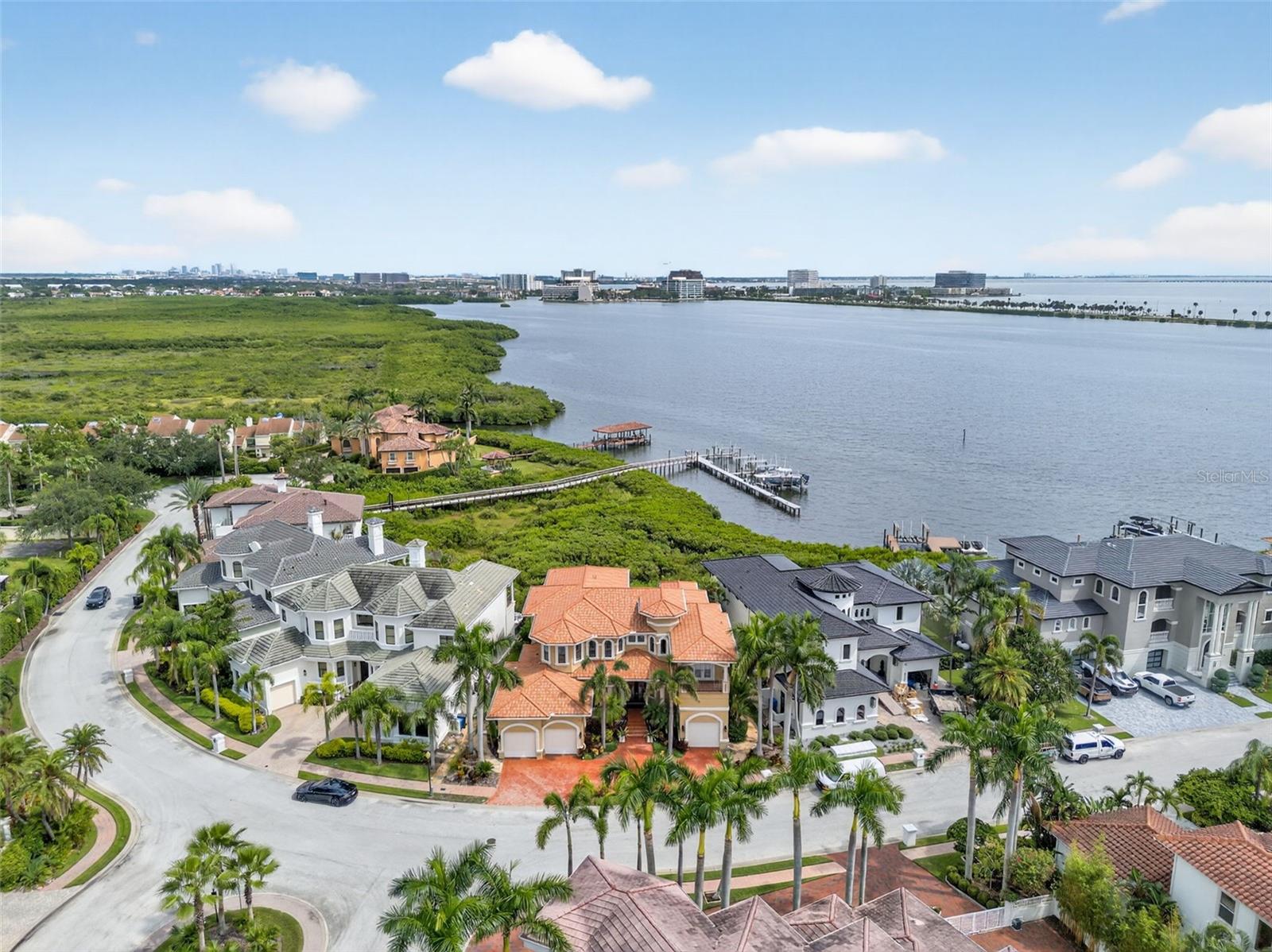 THE RESERVE OF OLD TAMPA BAY - Residential