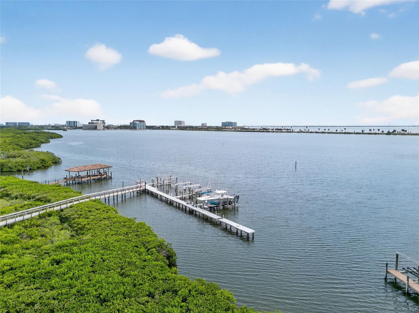 THE RESERVE OF OLD TAMPA BAY - Residential