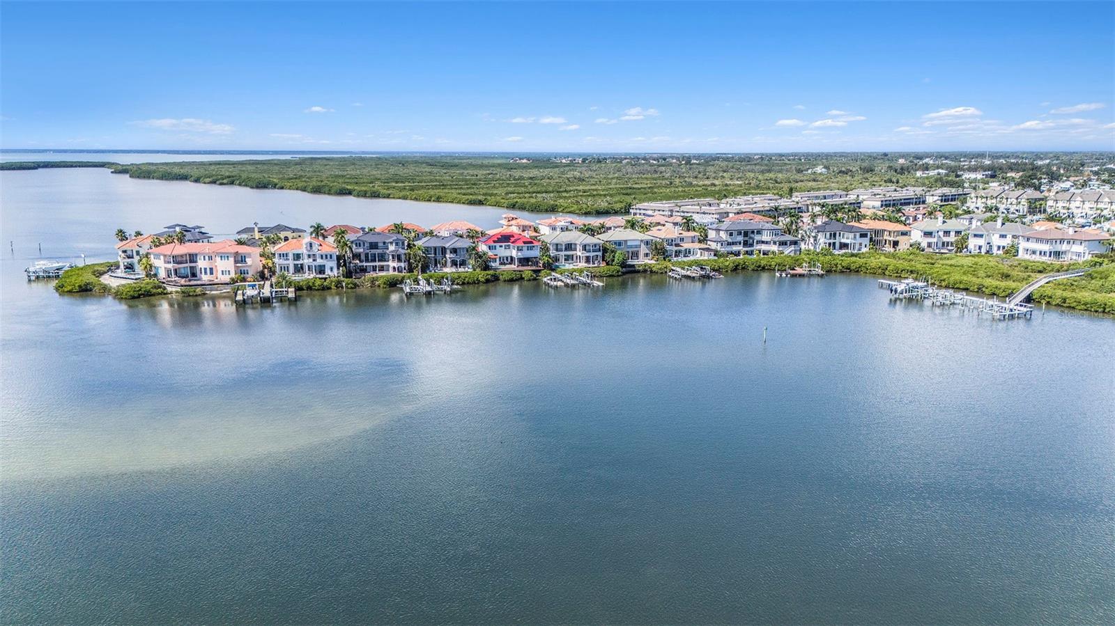 THE RESERVE OF OLD TAMPA BAY - Residential