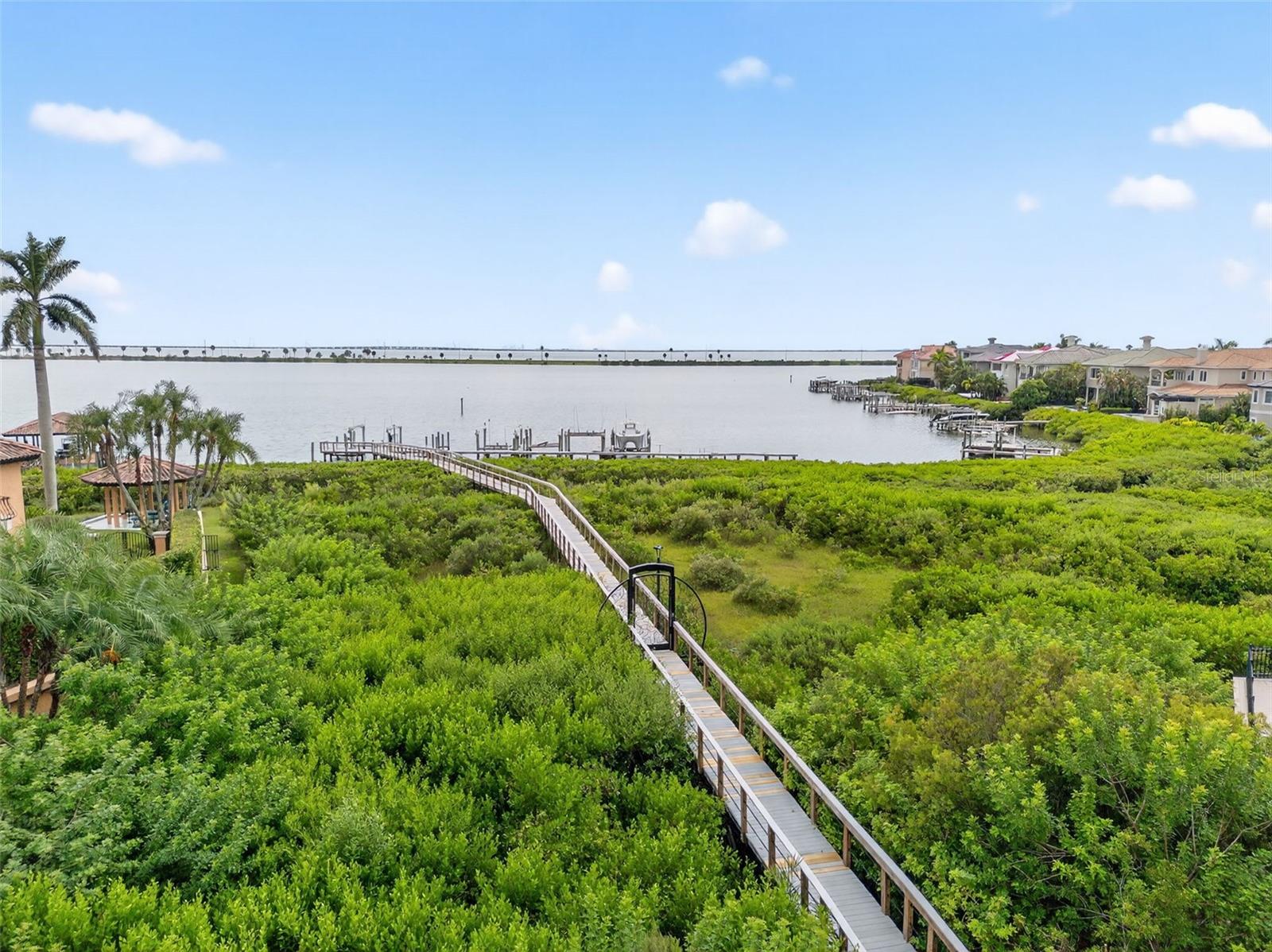 THE RESERVE OF OLD TAMPA BAY - Residential