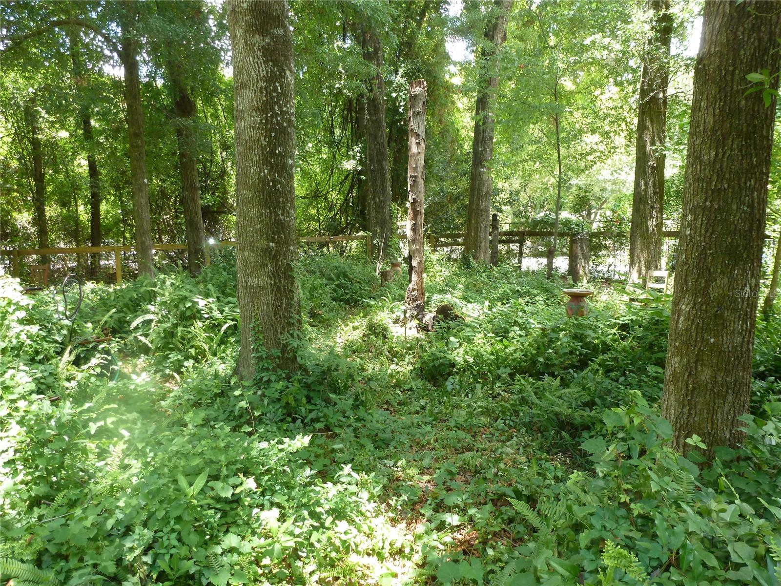 Rare and beautiful fully fenced corner lot in an area of homes and duplexes in Sugarfoot Oaks. Close to I75, Oaks Mall, North Florida Regional Hospital and easy access to the University of Florida. Property is heavily wooded with some mature trees and native plants and bushes.
Sprinklers, decorative lights and ornamental items do not stay.