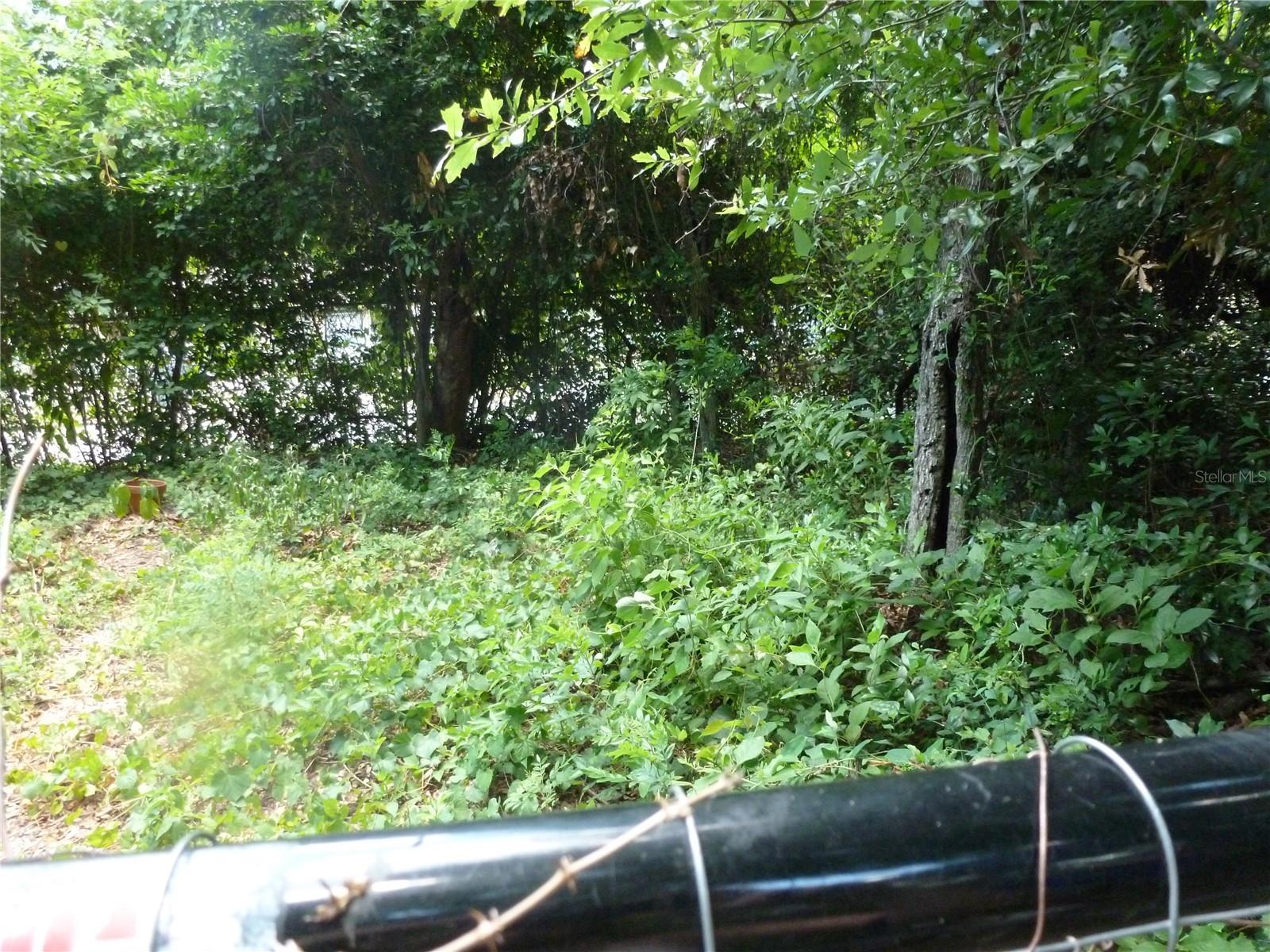 SUGARFOOT OAKS - Land