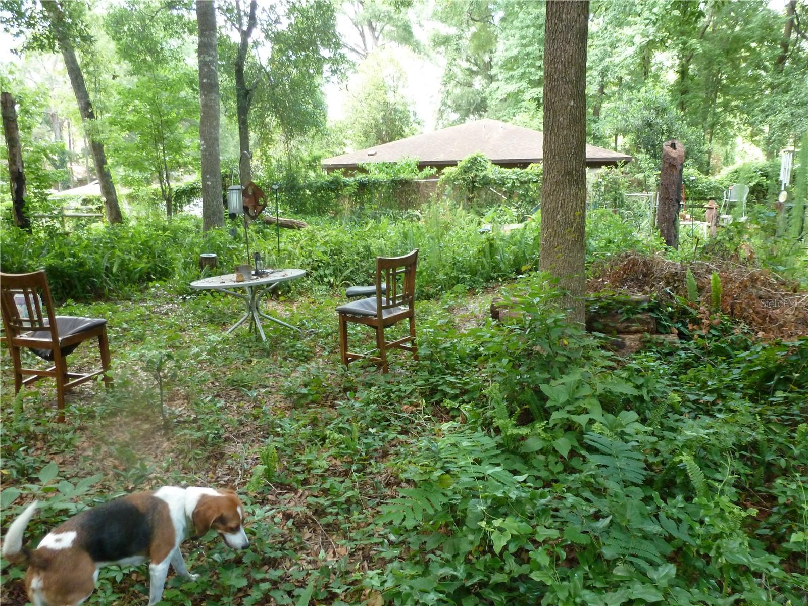 SUGARFOOT OAKS - Land