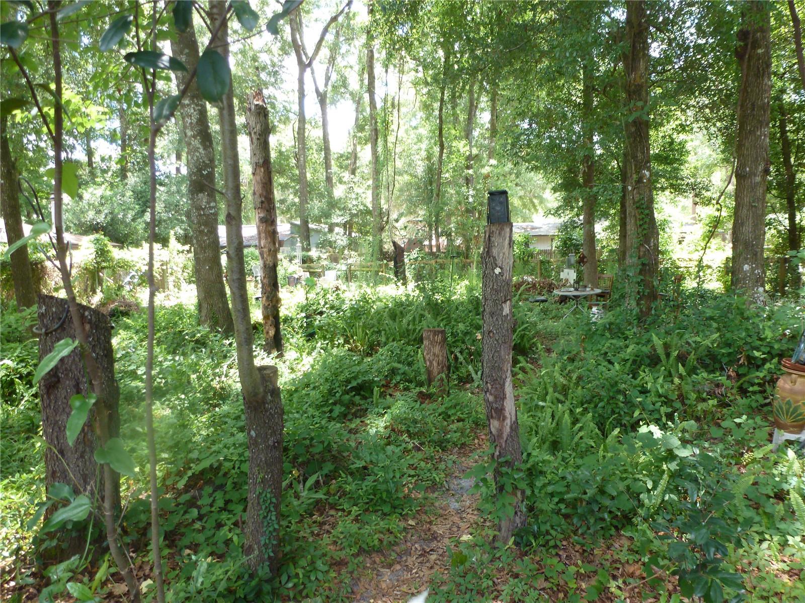 SUGARFOOT OAKS - Land