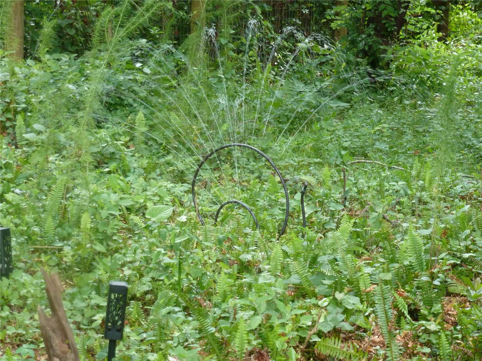 SUGARFOOT OAKS - Land