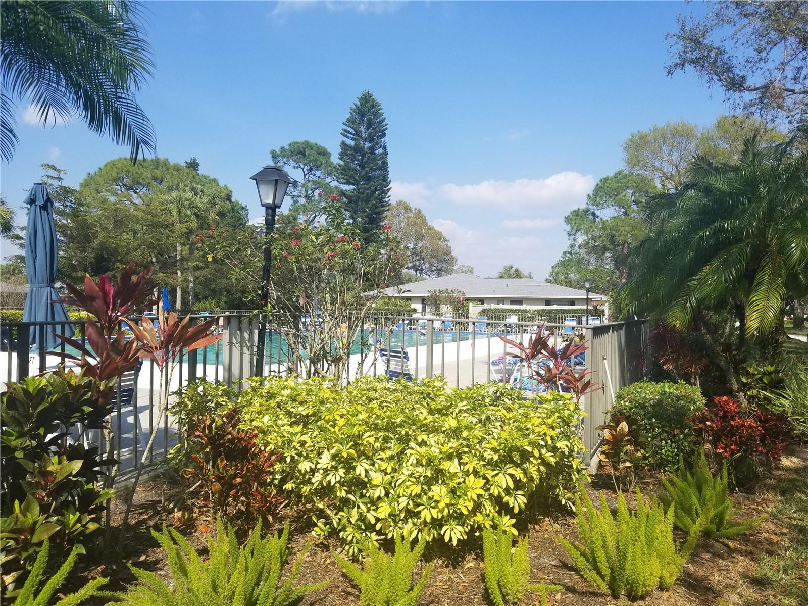 PALM-AIRE AT SARASOTA 11-B - Residential Lease