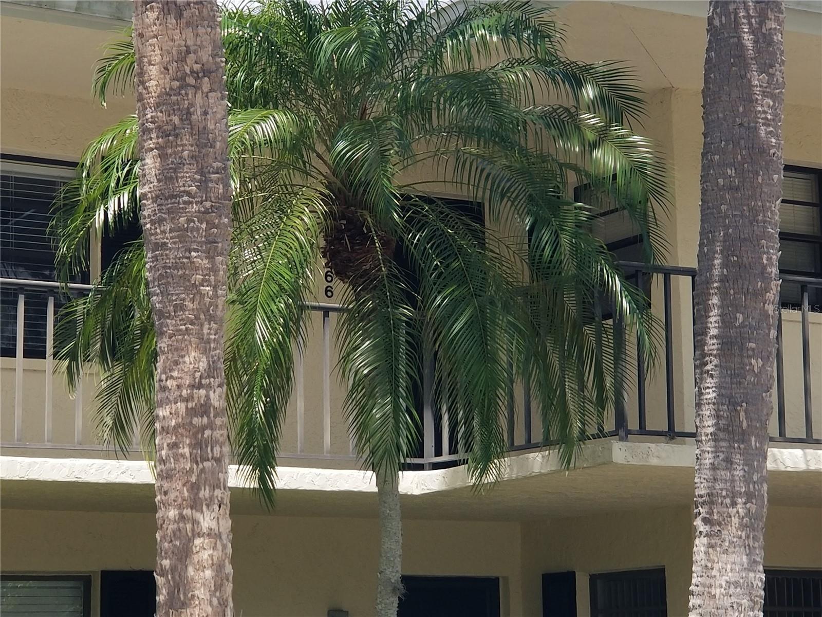 PALM-AIRE AT SARASOTA 11-B - Residential Lease