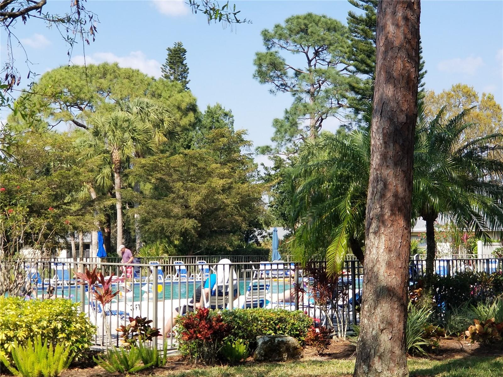PALM-AIRE AT SARASOTA 11-B - Residential Lease
