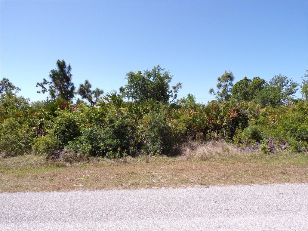Photo of 13465 Boatbill Lane, Port Charlotte, FL 33981 (MLS # C7508427)