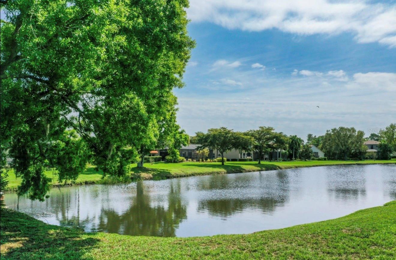 7407 PINE VALLEY STREET