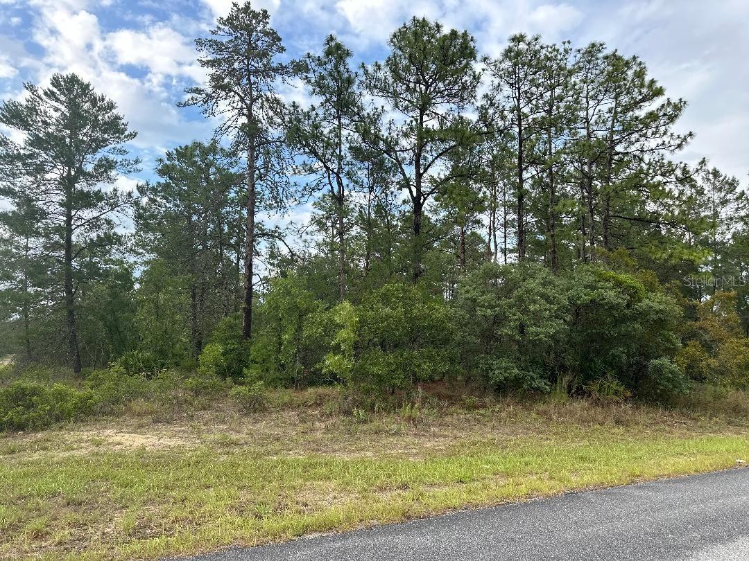 CITRUS SPGS UNIT 22 - Land