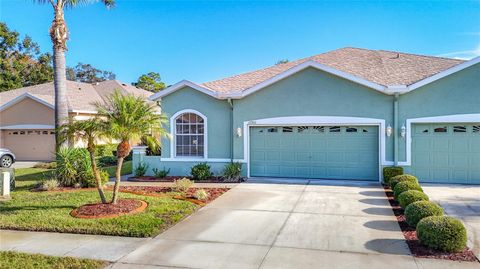 Photo of 12200 Putter Green Court, New Port Richey, FL 34654 (MLS # OM715465)