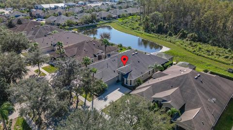 A home in LAND O LAKES