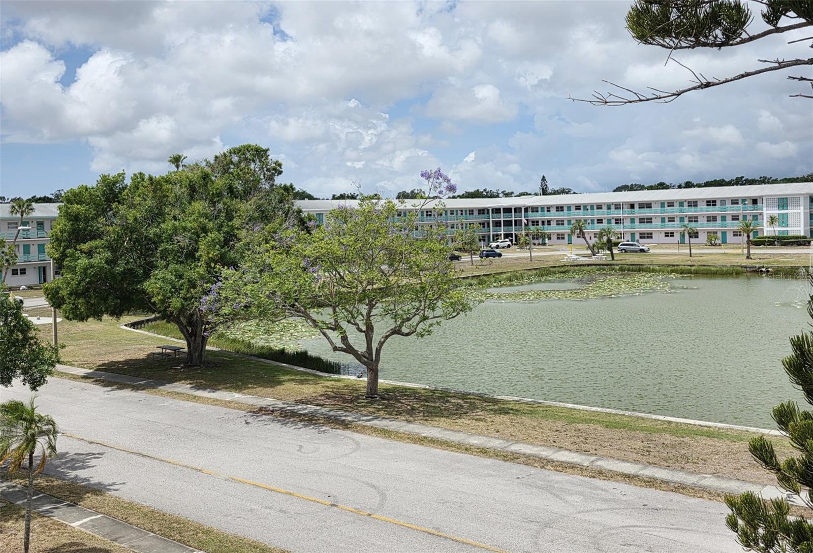 TOWN APTS CONDO - Residential