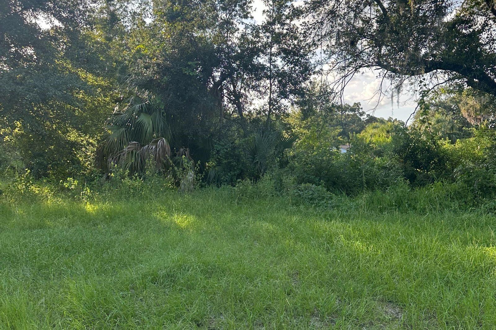 0 BUTLER AVENUE