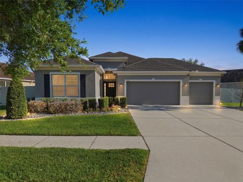 11133 WEMBLEY LANDING DRIVE LITHIA FL 33547