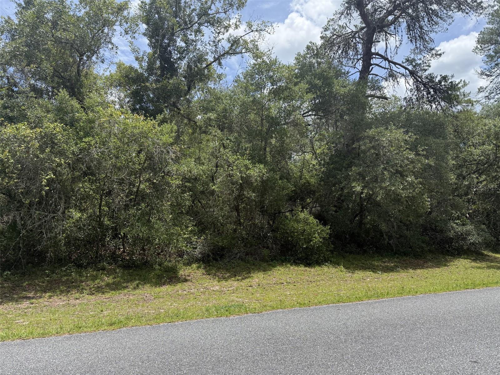 MARION OAKS - Land