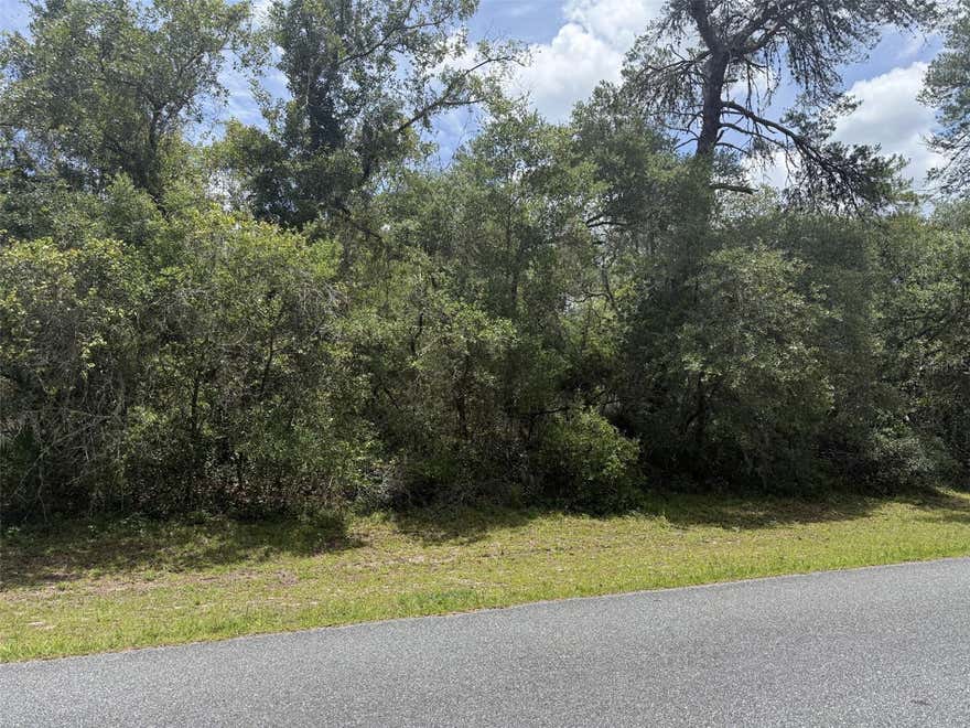 Build your dream home or duplex on this 0.55-acre lot in Marion Oaks which is zoned RPUD. Close to Marion Oaks Boulevard and Interstate 75, this lot is a prime location to many amenities and easy access to main roads.