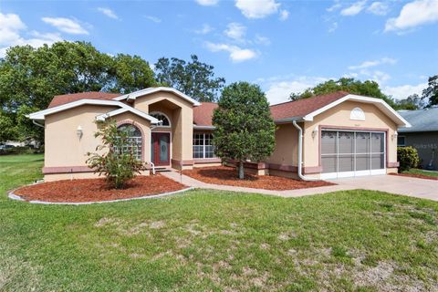 Photo of 3047 Rippling Brook Way, Spring Hill, FL 34606 (MLS # W7884333)