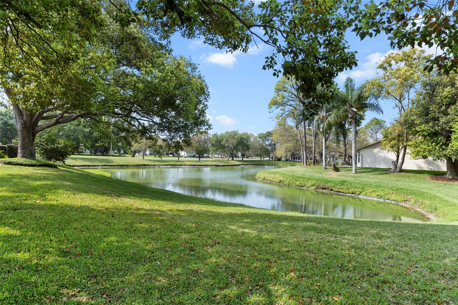 TIMBER PINES - Residential