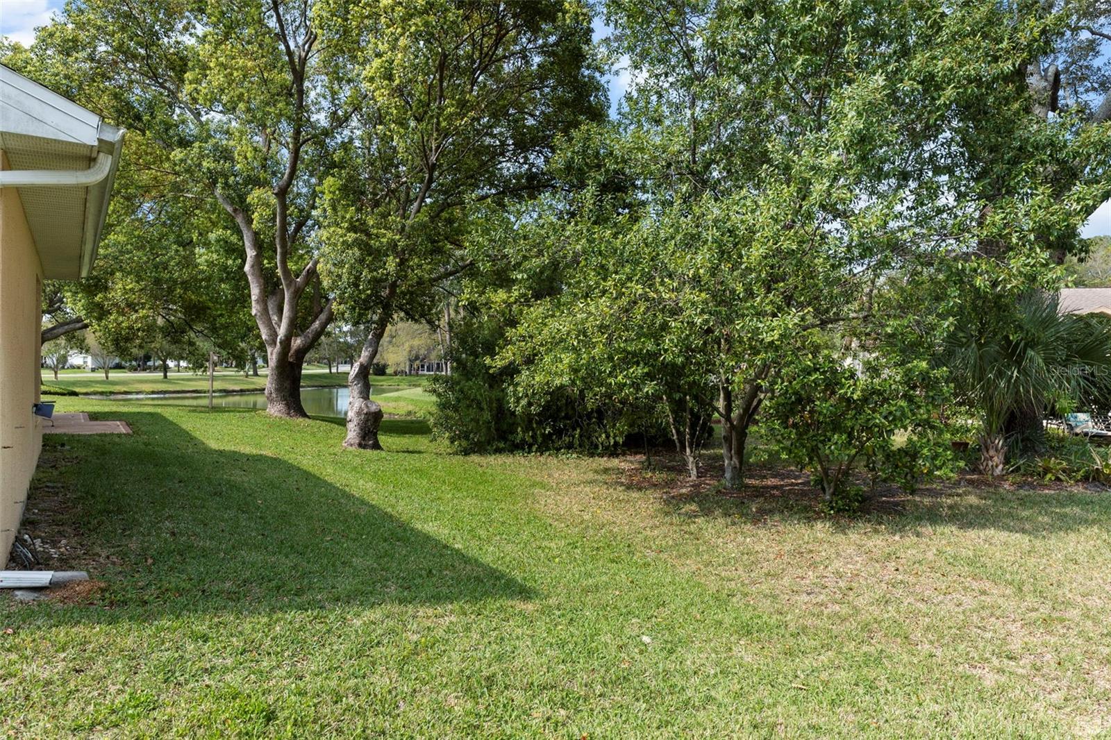 TIMBER PINES - Residential