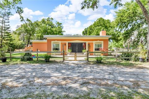 18826 HUCKAVALLE ROAD ODESSA FL 33556
