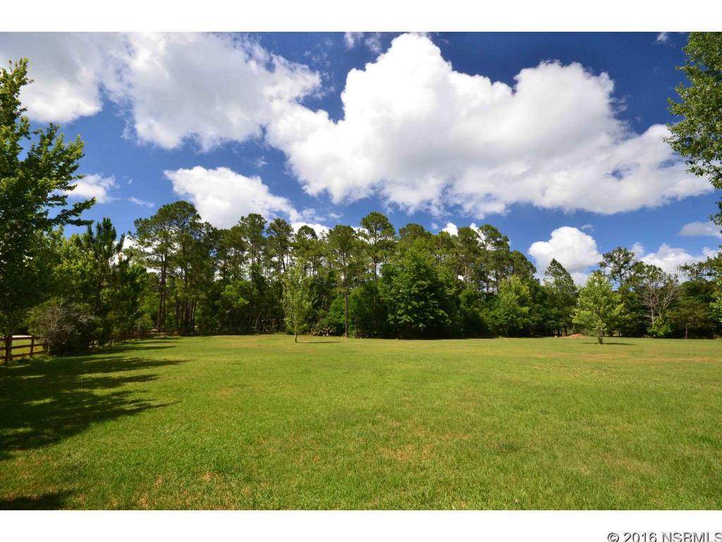 Tomoka Pines - Residential