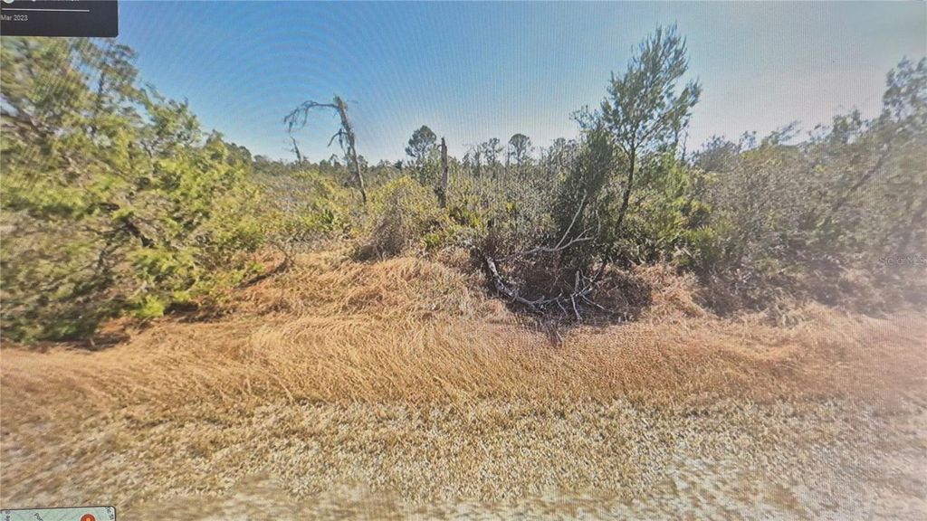 Photo of 3138 Aster Avenue, Lake Placid, FL 33852 (MLS # O6363711)