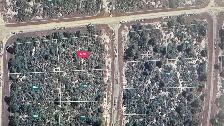 This 0.25-acre (10,969 sq. ft.) lot with no HOA offers a fantastic opportunity for builders, investors, or first-time buyers. Build a single-family home, modular home, or container home— Or let the land build value as a great long-term investment to resell for a future profit. The lot is conveniently located near restaurants, shopping centers, medical facilities, commercial hubs, and beautiful lakes. Major cities such as South Florida, Orlando, and Tampa are approximately two hours away. Land values in this area are rising—buy while it’s still affordable!