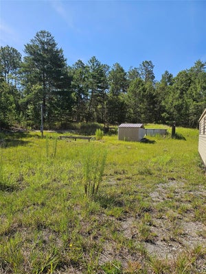 14150 SE 6TH LN, WILLISTON, FL 32696 - Image 411930a4cc343cb92ead80da8b3d39ec/1817679470