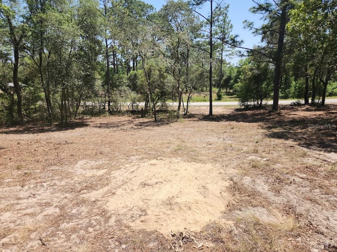 Rainbow Lakes Estates, BACKS UP TO FARM, High & Dry VERY NICE WOODED 1.02 Acre lot. Three lakes for boating, fishing, and the Rainbow Springs State Park is just a short drive away where you can enjoy nature walks among the mature azaleas, bird watching, kayaking and swimming at the head of this pristine first magnitude spring, starting the Rainbow River. 12 miles from the historic and beautiful "Rainbow River" town of Dunnellon. Nearby amenities that will be attracting those looking to move out of overcrowded suburbia: 26 miles to the fabulous World Equestrian Center. 25 miles to beautiful Yankee town and the Gulf of Mexico. About 2 hours to Tampa or Orlando, the community boasts a boat ramp, community center, park & playground. NO HOA FEES. Only Site Built Homes are allowed. NO MOBILE HOMES