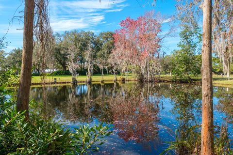 A home in PALM HARBOR