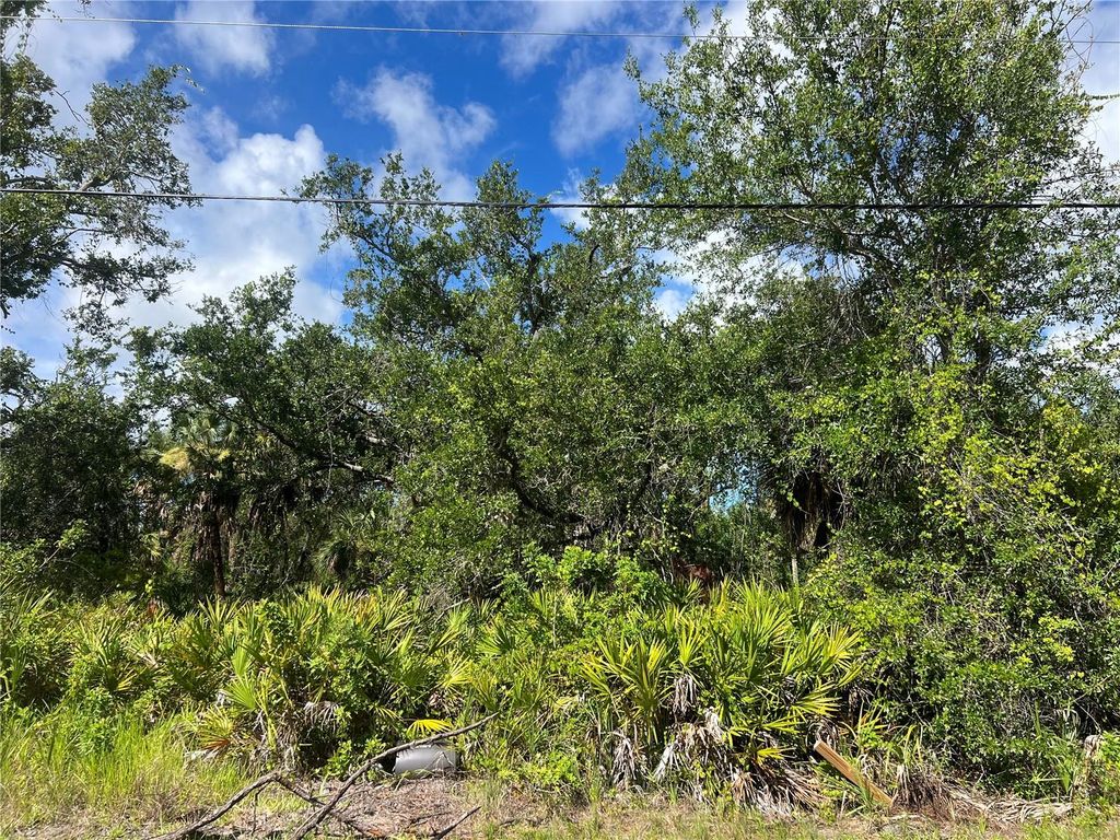 Photo of 163 Hardee Way, Rotonda West, FL 33947 (MLS # C7513135)