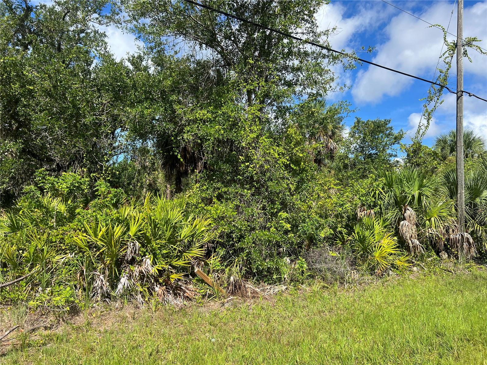 Beautiful building lot in the up-and-coming area of Rotonda Heights! Amazing location with pristine Englewood Beach just 10 minutes away, numerous golf courses, as well as public boat ramps all within minutes! PUBLIC WATER & SEWER service this lot, along with an electrical pole, and it is NOT IN a scrub jay area. Rotonda Heights is a deed restricted community with a low annual HOA fee of only $110; less than $10 a month! With 1900 homesites, Rotonda Heights only has just over 400 of them developed with homes...come be part of this exciting & growing community in Southwest Florida! Have local builder with floorplans of 3 bedroom 2 bathroom homes with 10’ ceilings, 8’ doors porcelain plank flooring throughout, Quartz/Granite, lighting & fans, appliances…all-inclusive pricing starting at $320,000.