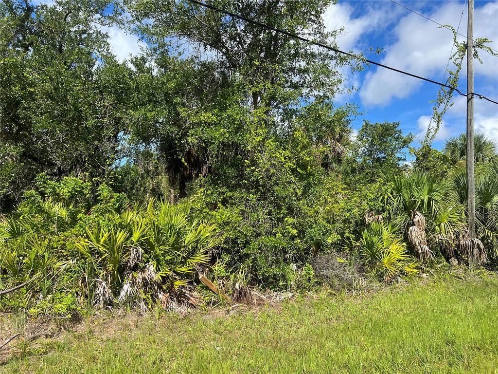 Photo of 163 Hardee Way, Rotonda West, FL 33947 (MLS # C7513135)