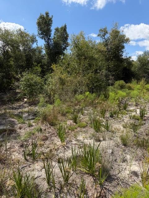 TEE & GRN ESTATES 1ST ADD - Land