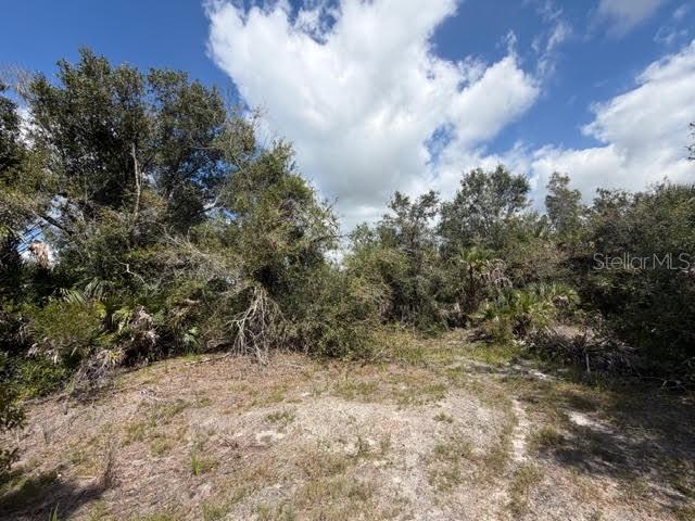 TEE & GRN ESTATES 1ST ADD - Land