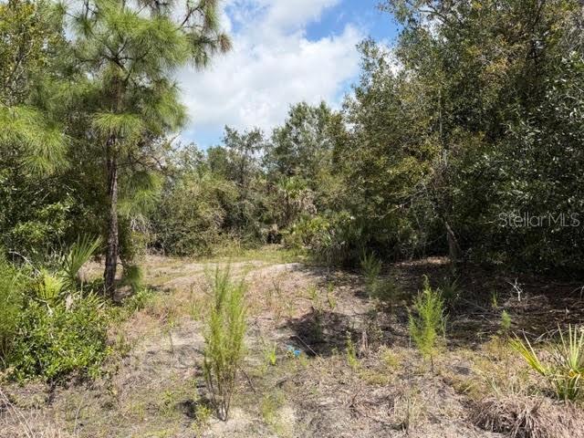 TEE & GRN ESTATES 1ST ADD - Land