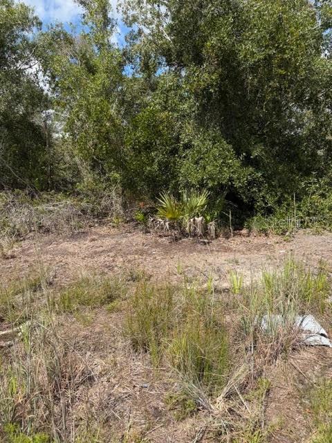 TEE & GRN ESTATES 1ST ADD - Land